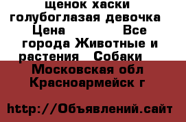 щенок хаски  голубоглазая девочка › Цена ­ 12 000 - Все города Животные и растения » Собаки   . Московская обл.,Красноармейск г.